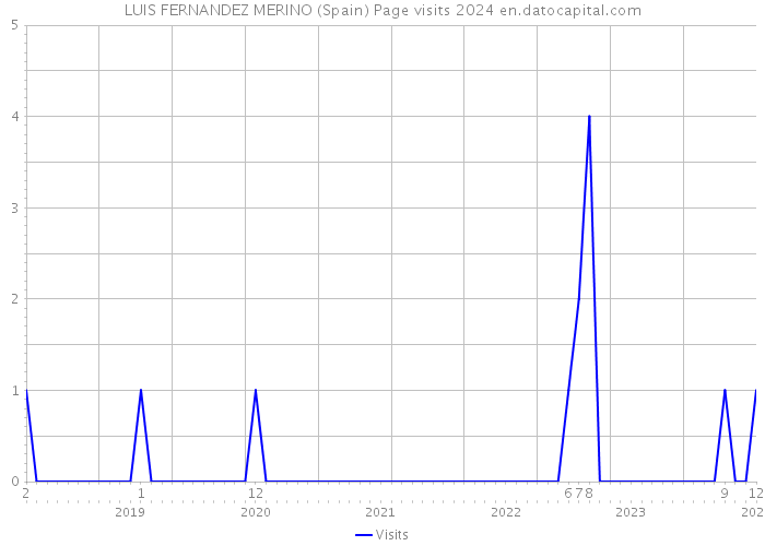 LUIS FERNANDEZ MERINO (Spain) Page visits 2024 
