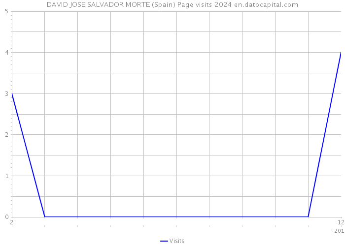 DAVID JOSE SALVADOR MORTE (Spain) Page visits 2024 
