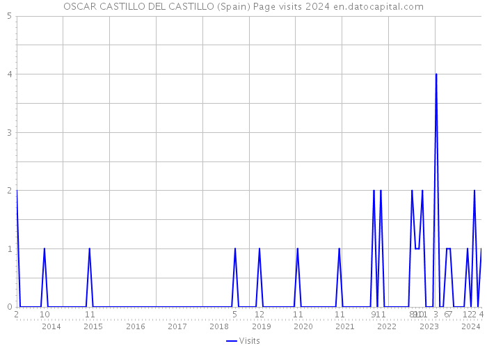 OSCAR CASTILLO DEL CASTILLO (Spain) Page visits 2024 