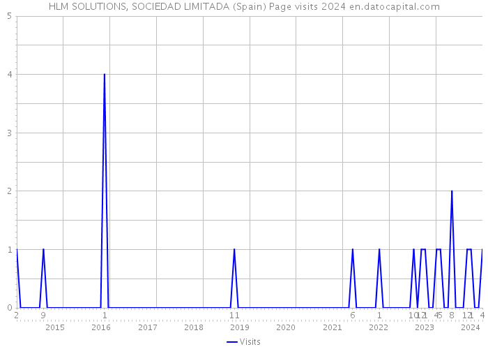 HLM SOLUTIONS, SOCIEDAD LIMITADA (Spain) Page visits 2024 