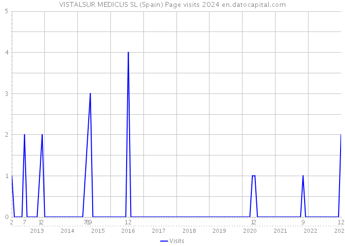 VISTALSUR MEDICUS SL (Spain) Page visits 2024 