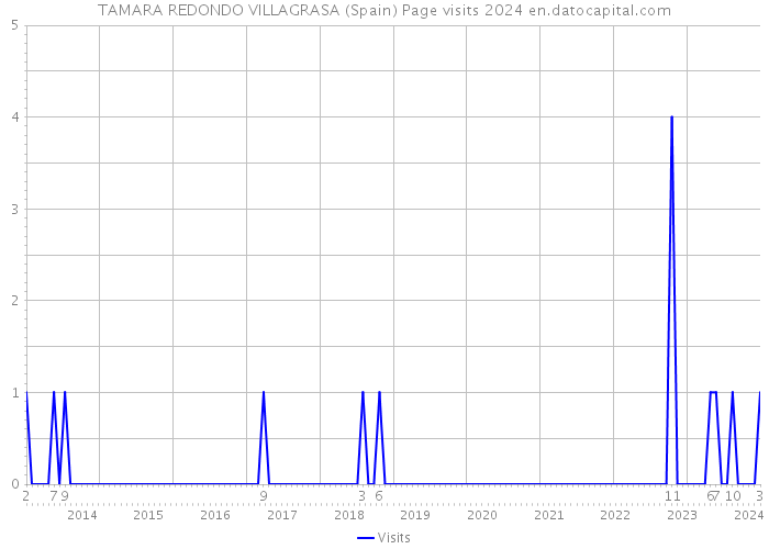 TAMARA REDONDO VILLAGRASA (Spain) Page visits 2024 