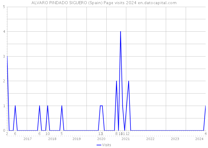 ALVARO PINDADO SIGUERO (Spain) Page visits 2024 