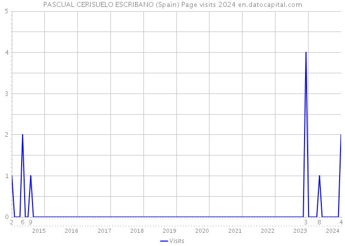 PASCUAL CERISUELO ESCRIBANO (Spain) Page visits 2024 