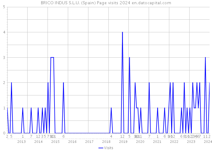 BRICO INDUS S.L.U. (Spain) Page visits 2024 