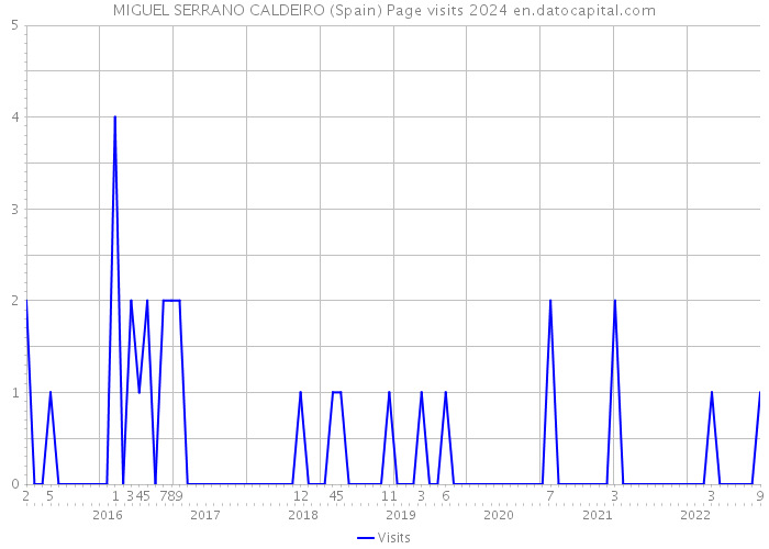 MIGUEL SERRANO CALDEIRO (Spain) Page visits 2024 