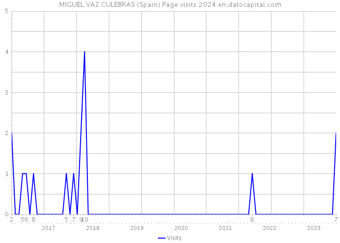 MIGUEL VAZ CULEBRAS (Spain) Page visits 2024 