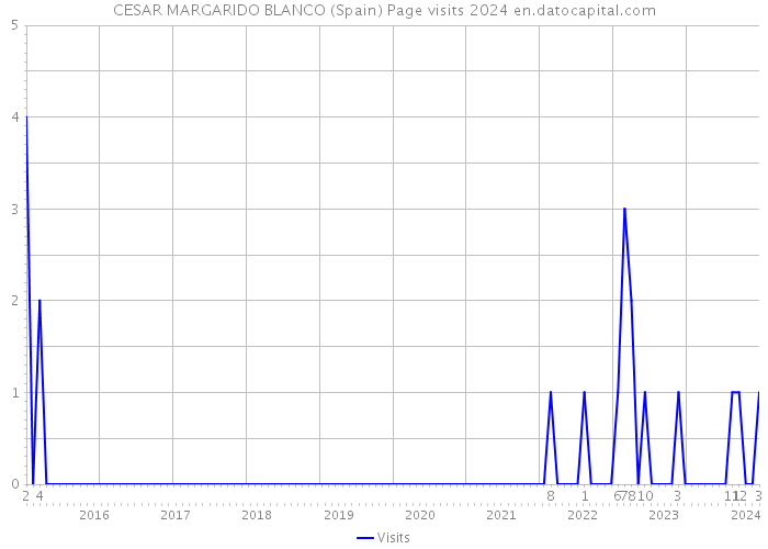 CESAR MARGARIDO BLANCO (Spain) Page visits 2024 