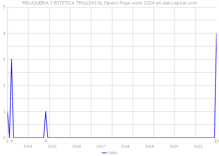 PELUQUERIA Y ESTETICA TRILLIZAS SL (Spain) Page visits 2024 