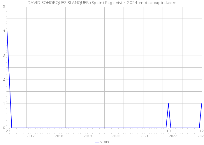 DAVID BOHORQUEZ BLANQUER (Spain) Page visits 2024 