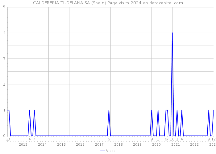 CALDERERIA TUDELANA SA (Spain) Page visits 2024 