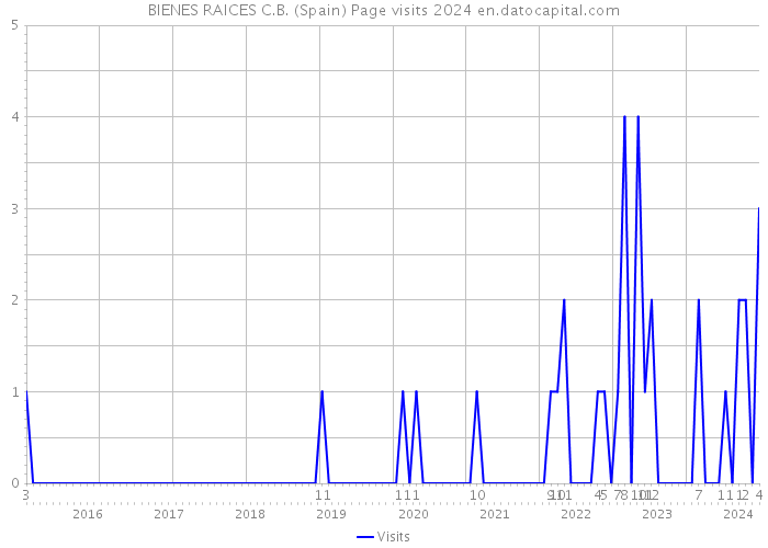 BIENES RAICES C.B. (Spain) Page visits 2024 