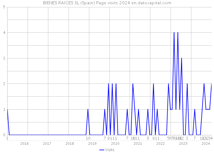 BIENES RAICES SL (Spain) Page visits 2024 