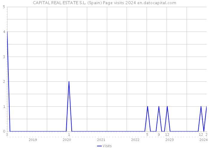 CAPITAL REAL ESTATE S.L. (Spain) Page visits 2024 