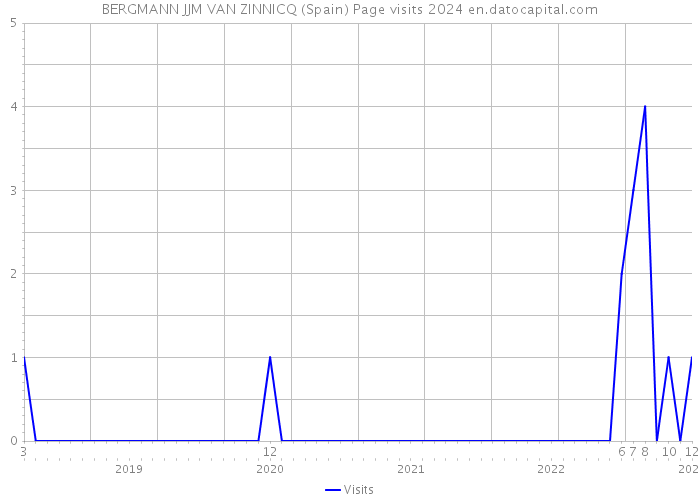 BERGMANN JJM VAN ZINNICQ (Spain) Page visits 2024 