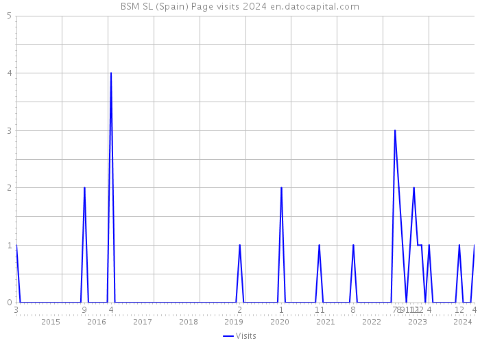 BSM SL (Spain) Page visits 2024 
