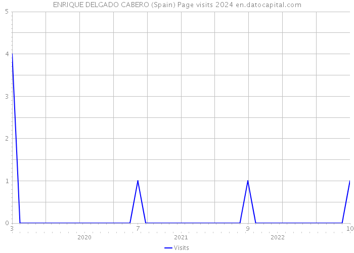 ENRIQUE DELGADO CABERO (Spain) Page visits 2024 