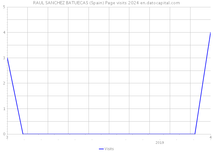 RAUL SANCHEZ BATUECAS (Spain) Page visits 2024 