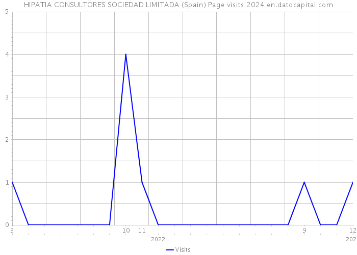 HIPATIA CONSULTORES SOCIEDAD LIMITADA (Spain) Page visits 2024 