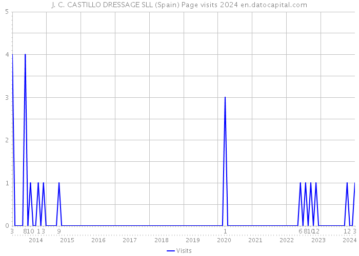 J. C. CASTILLO DRESSAGE SLL (Spain) Page visits 2024 