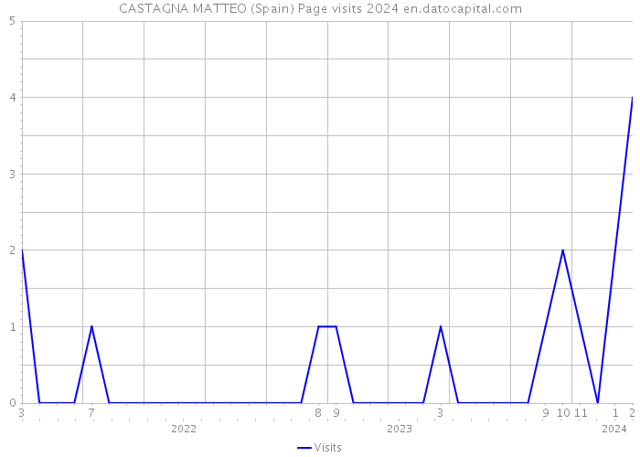 CASTAGNA MATTEO (Spain) Page visits 2024 