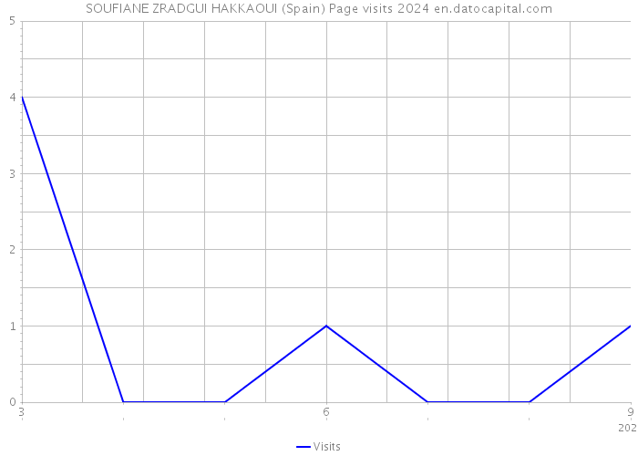 SOUFIANE ZRADGUI HAKKAOUI (Spain) Page visits 2024 
