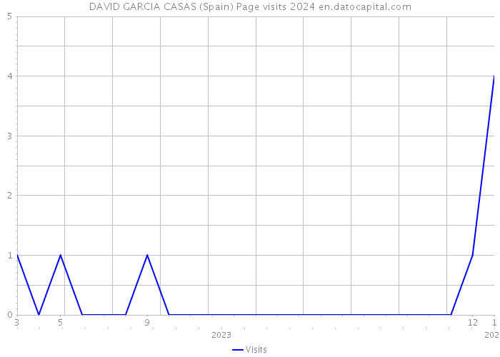 DAVID GARCIA CASAS (Spain) Page visits 2024 