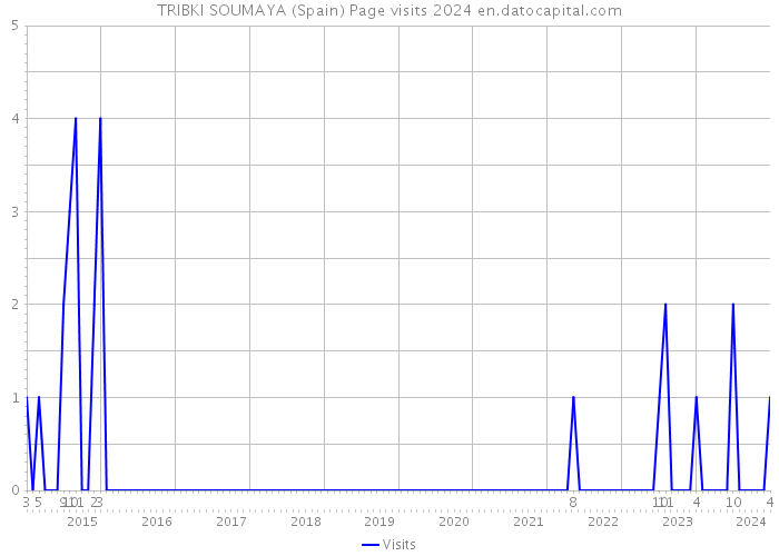 TRIBKI SOUMAYA (Spain) Page visits 2024 