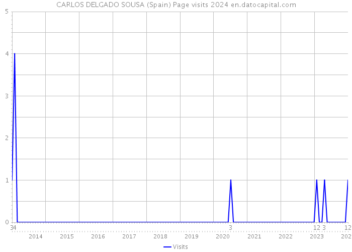 CARLOS DELGADO SOUSA (Spain) Page visits 2024 