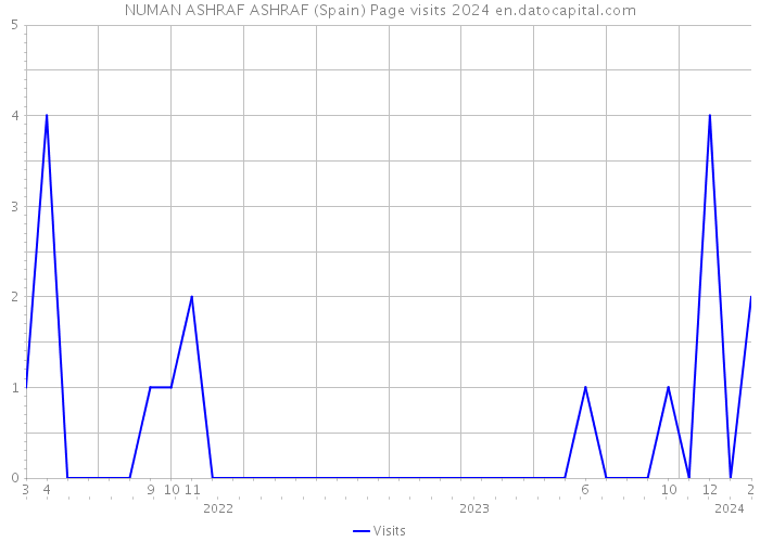 NUMAN ASHRAF ASHRAF (Spain) Page visits 2024 