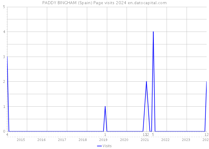 PADDY BINGHAM (Spain) Page visits 2024 