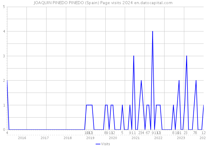JOAQUIN PINEDO PINEDO (Spain) Page visits 2024 