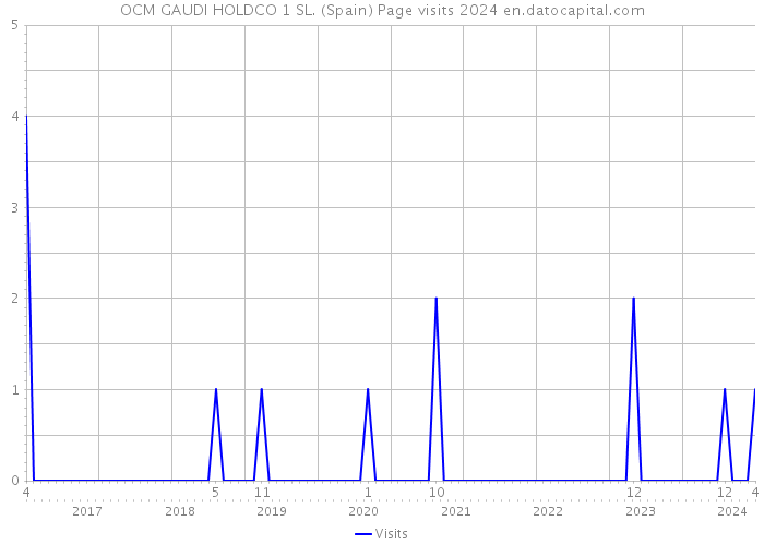 OCM GAUDI HOLDCO 1 SL. (Spain) Page visits 2024 