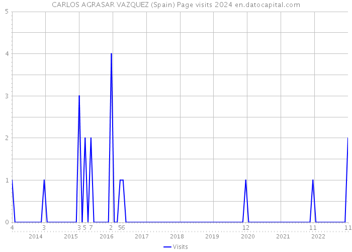 CARLOS AGRASAR VAZQUEZ (Spain) Page visits 2024 