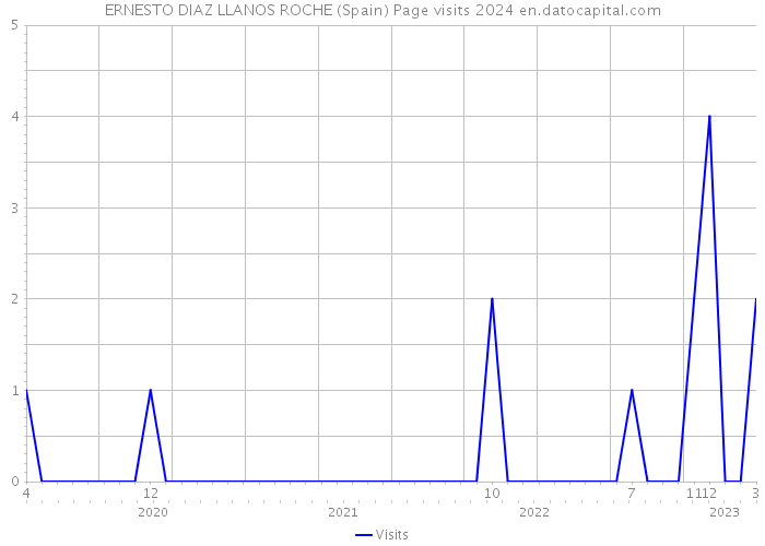 ERNESTO DIAZ LLANOS ROCHE (Spain) Page visits 2024 