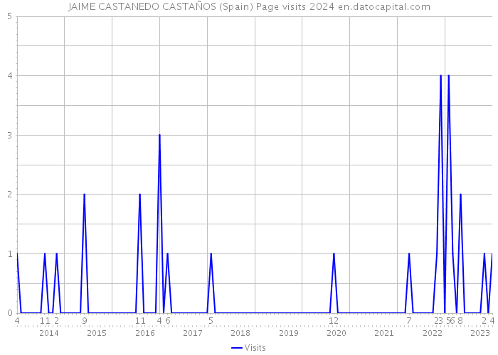 JAIME CASTANEDO CASTAÑOS (Spain) Page visits 2024 