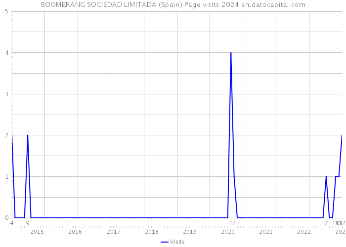 BOOMERANG SOCIEDAD LIMITADA (Spain) Page visits 2024 