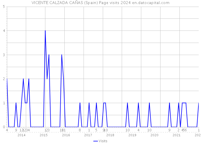 VICENTE CALZADA CAÑAS (Spain) Page visits 2024 