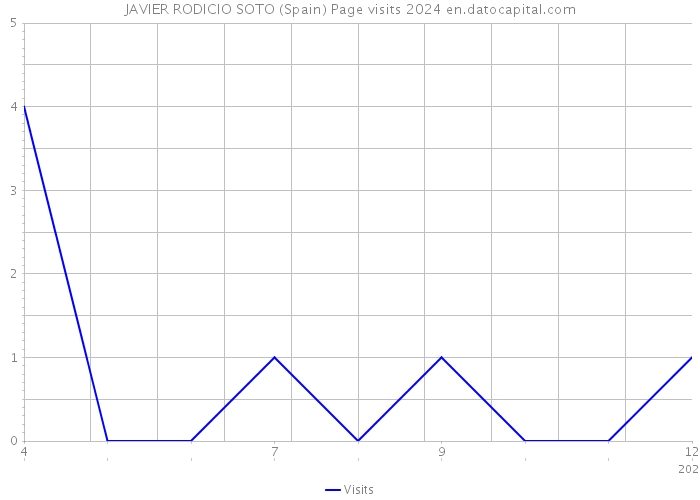 JAVIER RODICIO SOTO (Spain) Page visits 2024 