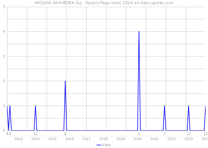 MOLINA SAAVEDRA SLL. (Spain) Page visits 2024 