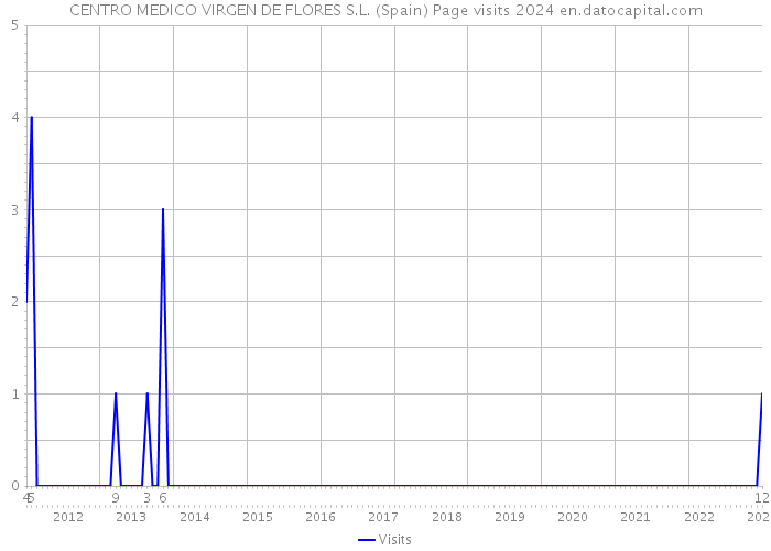 CENTRO MEDICO VIRGEN DE FLORES S.L. (Spain) Page visits 2024 