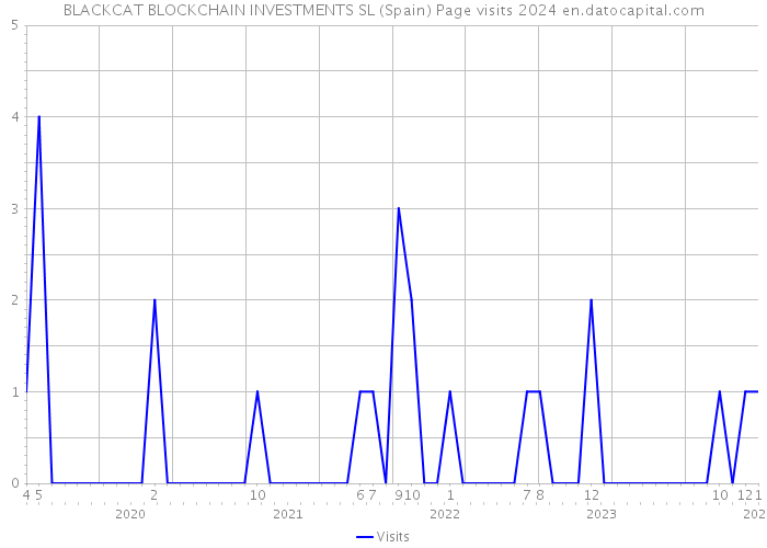 BLACKCAT BLOCKCHAIN INVESTMENTS SL (Spain) Page visits 2024 