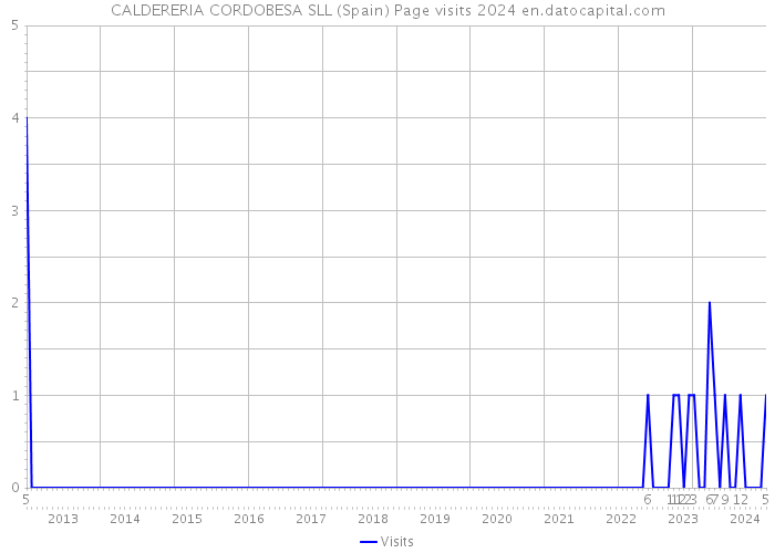 CALDERERIA CORDOBESA SLL (Spain) Page visits 2024 