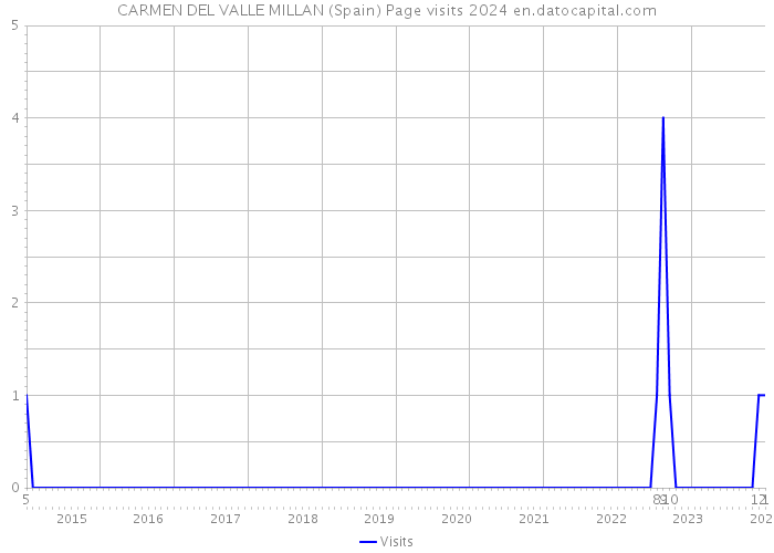 CARMEN DEL VALLE MILLAN (Spain) Page visits 2024 