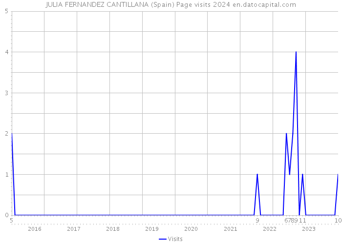 JULIA FERNANDEZ CANTILLANA (Spain) Page visits 2024 