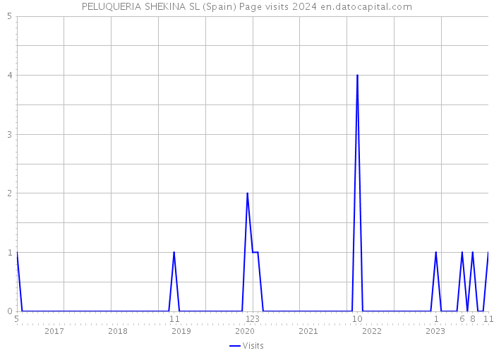 PELUQUERIA SHEKINA SL (Spain) Page visits 2024 