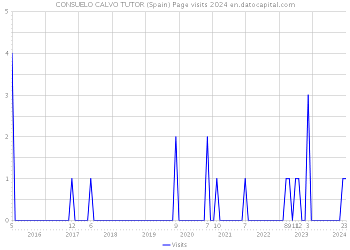 CONSUELO CALVO TUTOR (Spain) Page visits 2024 
