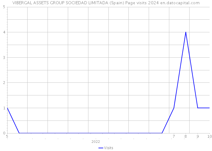 VIBERGAL ASSETS GROUP SOCIEDAD LIMITADA (Spain) Page visits 2024 