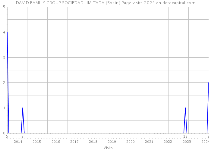 DAVID FAMILY GROUP SOCIEDAD LIMITADA (Spain) Page visits 2024 
