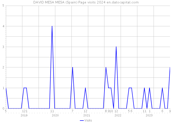 DAVID MESA MESA (Spain) Page visits 2024 